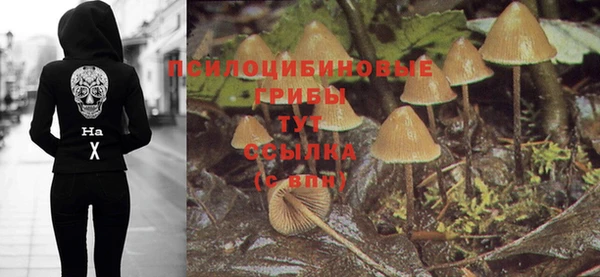 метадон Ладушкин